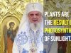 Why do we eat vegetable food during Lent? (Patriarch Daniel of Romania)