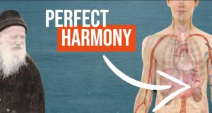 How perfect the human body is! (Saint Porphyrios) Orthodox Elders