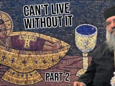 Holy Communion: Why Orthodox Christians Can’t Live Without It? | Part 2 | Met. Athanasios
