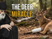 Saint Paisios of Mount Athos: Rare Personal Testimony & Miracles