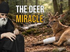 Saint Paisios of Mount Athos: Rare Personal Testimony & Miracles